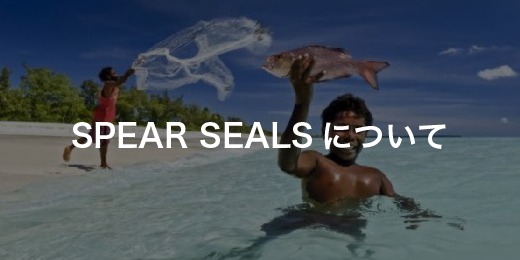 SPEAR SEALSについて